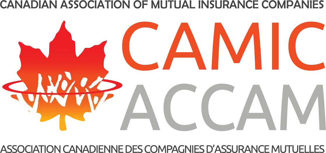CAMIC Logo